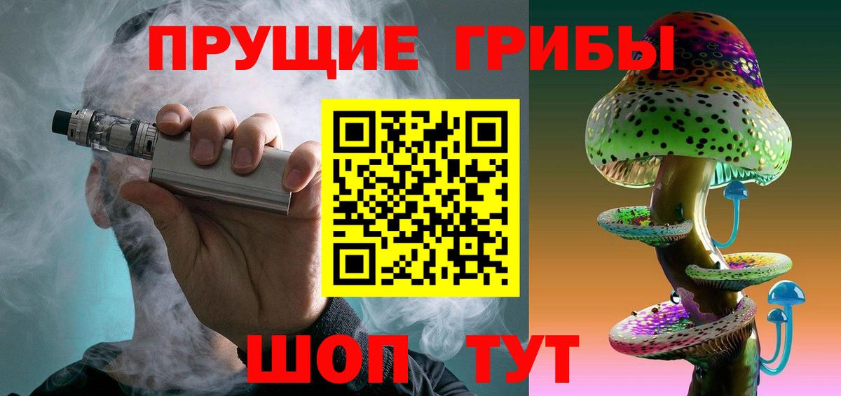 Галлюциногенные грибы Psilocybe Северодвинск